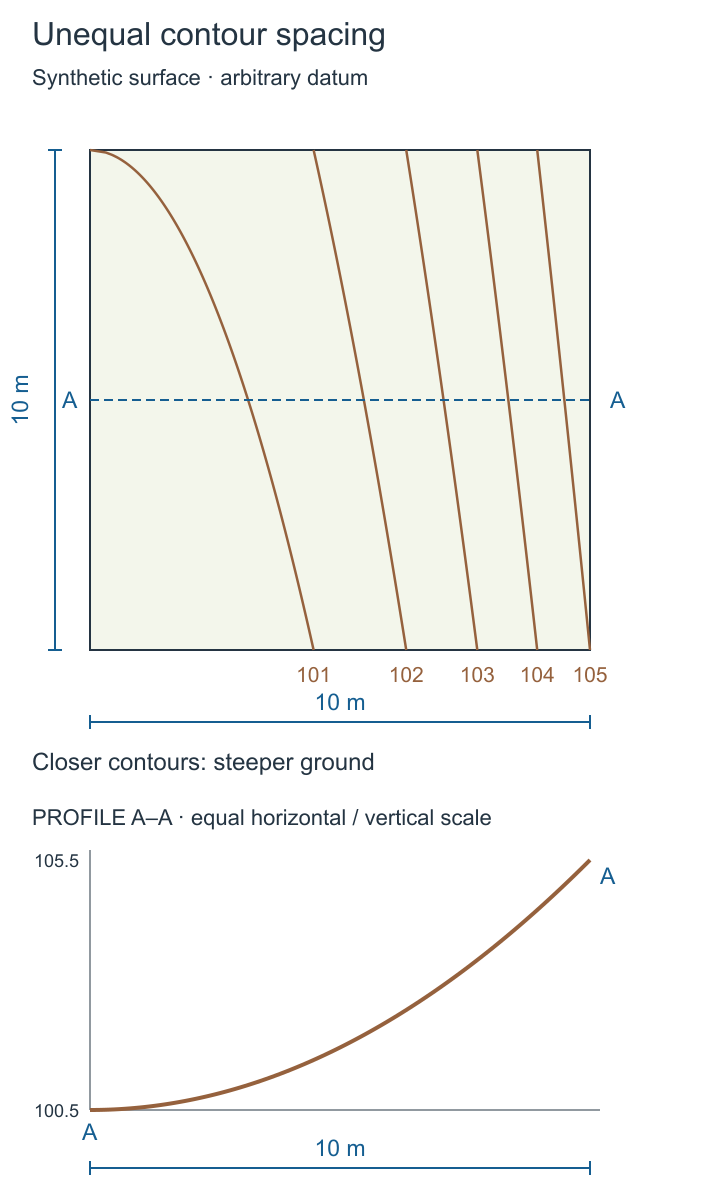 Fictional curved terrain contours above a curved section along the plan’s middle.